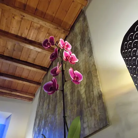 Bed and Breakfast Al Cardinale Viterbo Exterior foto